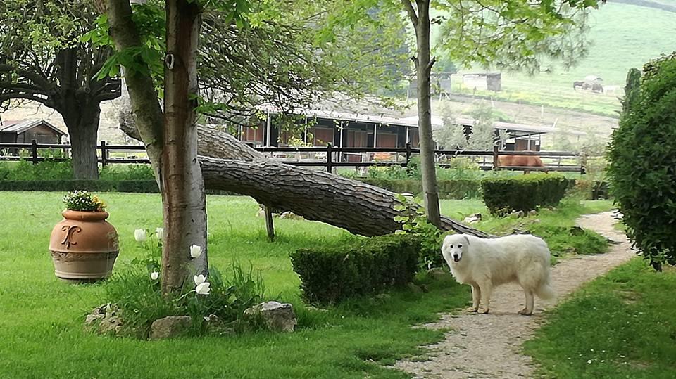 Tenuta Agricola Fonte Di Papa Monterotondo  Dış mekan fotoğraf